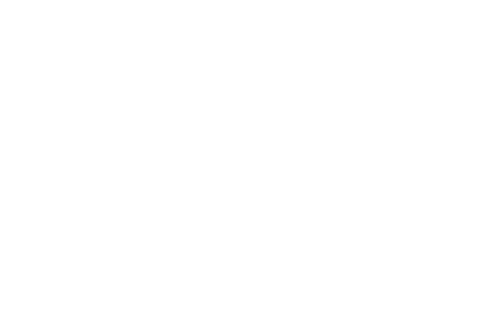 OFFICIAL SELECTION - New York True Venture Film Festival - Best Feature Screenplay - 2025.png